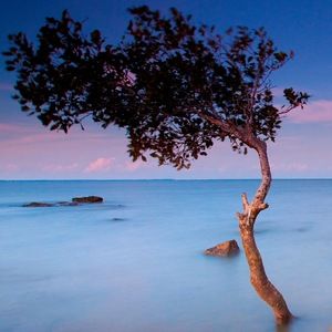 Meet your Posher, Fatima